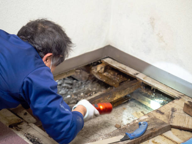 Best Crawl Space Mold Removal  in Weatherford, OK