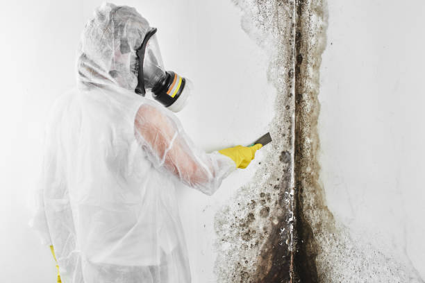 Best Mold Testing  in Weatherford, OK