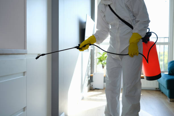 Best Mold Damage Repair  in Weatherford, OK