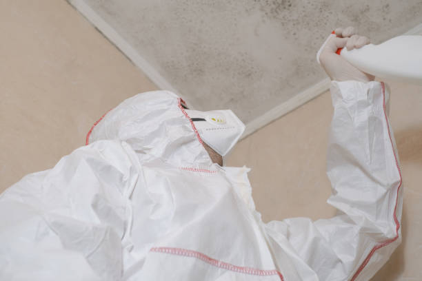 Best Best Mold Removal Companies  in Weatherford, OK