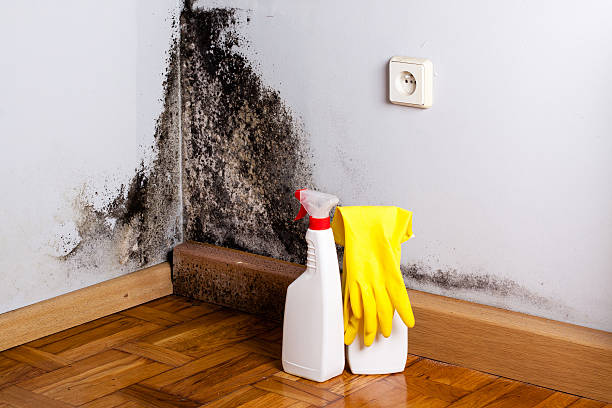 Best Crawl Space Mold Removal  in Weatherford, OK