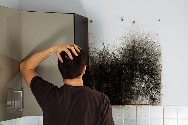 Best Mold Cleaning Services  in Weatherford, OK